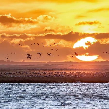 Seezauber Am Fleesensee