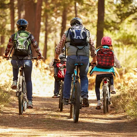 Seezauber Am Fleesensee *